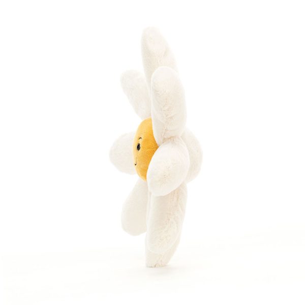 Fleury Daisy