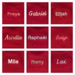 Bashful Toffee Puppy with Personalised Red Jumper