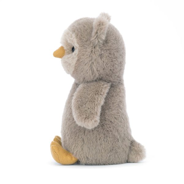 Nippit Owl