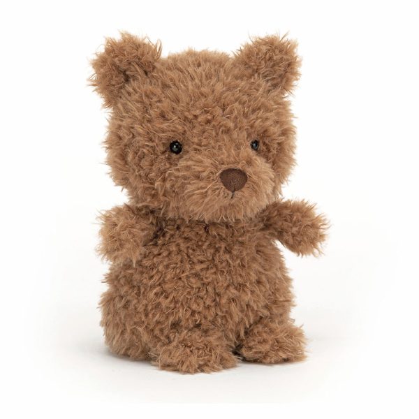 I Might Be Little Book and Little Bear